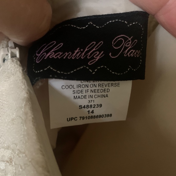 Chantilly Place dress size 14 - Picture 5 of 5